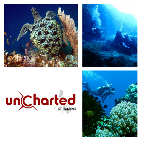 Visayas Dive Safari: Cebu, Negros & Bohol